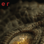 Close-up of a detailed, realistic 3D-rendered reptilian eye emphasizing textured skin and vibrant details for digital art and character design inspiration.